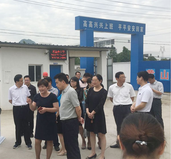 孔曉宏調(diào)研百鳥亭小學(xué)建設(shè)推進情況