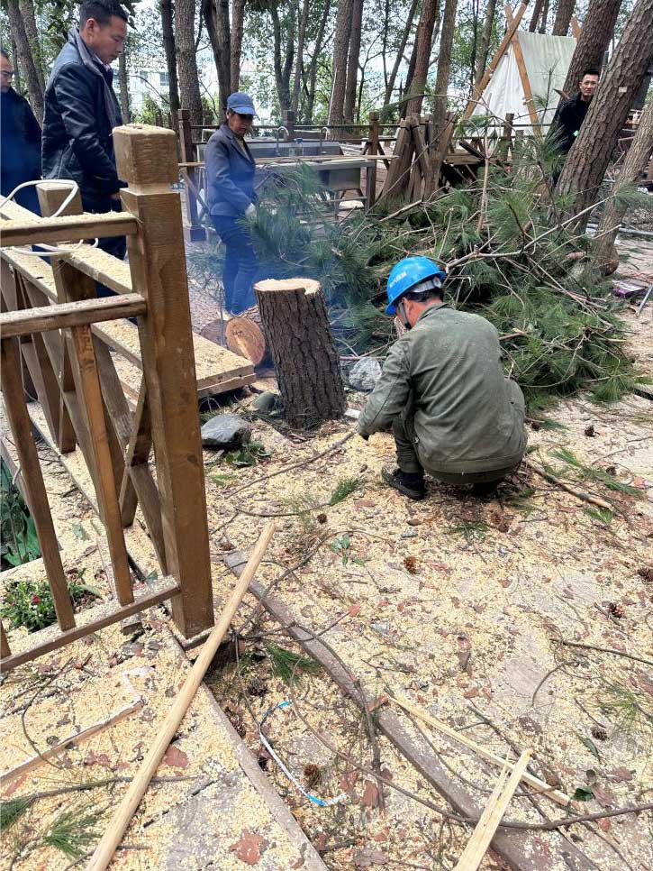 排除隱患，國資公司砍樹解民憂