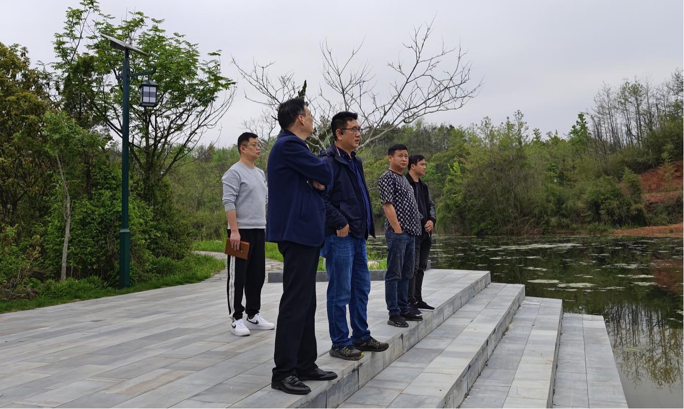 屯溪區(qū)國投集團(tuán)實(shí)地考察朱村項目