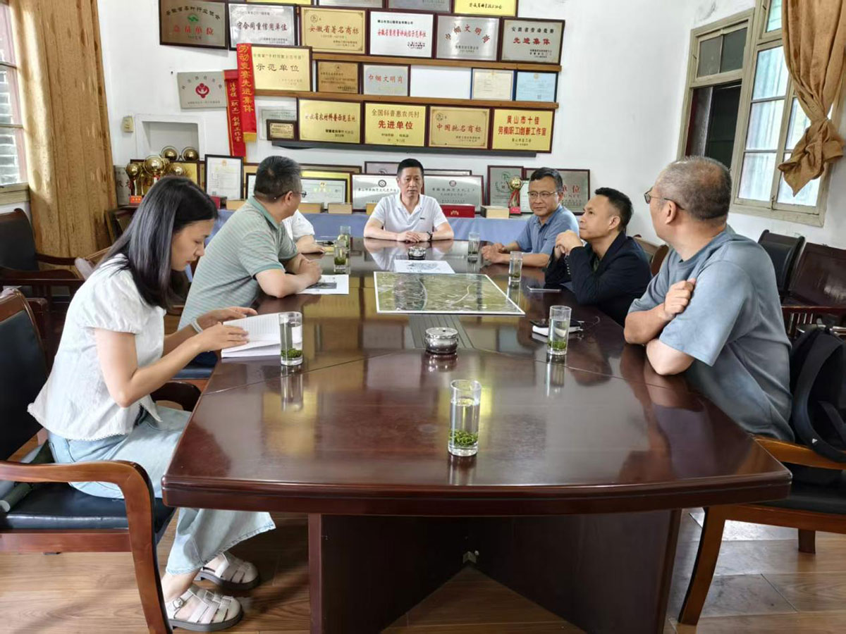 江蘇外聯(lián)采考察團到實驗茶場考察，共商茶產(chǎn)業(yè)合作新藍圖